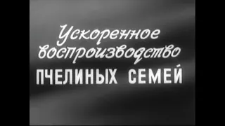 Ускоренное воспроизводство пчелиных семей  Леннаучфильм 1987 год