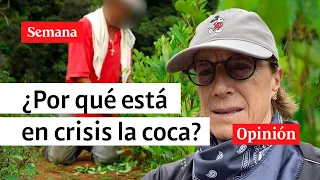 "Coca en crisis, ¿por qué?": Salud Hernández-Mora estuvo en Micay, zona cocalera