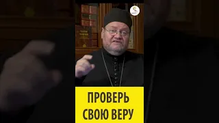 Проверь свою веру! Священник Олег Стеняев #shorts