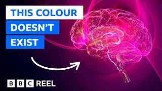 Magenta: The colour that doesn't exist – BBC REEL