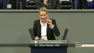 "Sie wollen über Parteispenden reden? Also gut" - Dr. Alice Weidel 21.11.2018 - Bananenrepublik