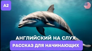 Короткие рассказы на Английском для начинающих. 🎧Английский НА СЛУХ