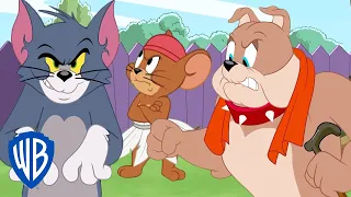 Tom & Jerry em Português | Brasil | Quantos anos Spike tem? | WB Kids