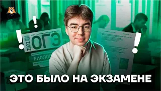 Это было на экзамене | Биология ОГЭ 2022 | Умскул