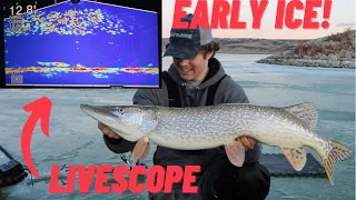 ICE Fishing With Garmin LiveScope On Early Ice