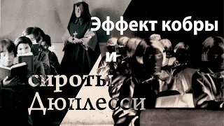 "Эффект кобры" и скандал с "сиротами Дюплесси"