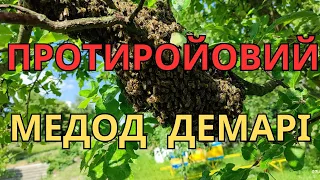 Протиройовий метод Демарі