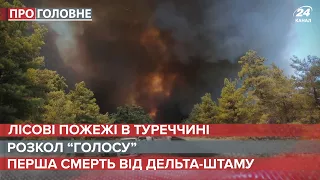 Масштабні лісові пожежі у Туреччині, Про головне, 29 липня 2021