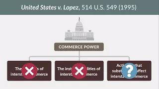 United States v. Morrison Case Brief Summary | Law Case Explained