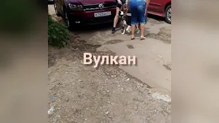 Нашли дом Приют Надежда Орел