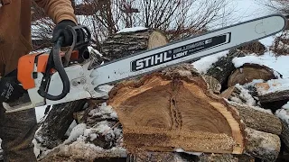 Ported Stihl Ms460 first cuts!!