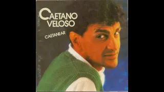 Caetano Veloso Caetanear