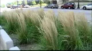 Flashback: 1998 Brush Creek Flood