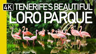 4k Walk Through Loro Parque's Enchanting Green Spaces | Tenerife 2024 [cc]