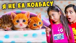 НЕ ЗАСМЕЙСЯ ЧЕЛЛЕНДЖ с КОТАМИ #4 с Мамой  Funny Cat реакции ПОПРОБУЙ НЕ ЗАСМЕЯТЬСЯ сборник Валеришка