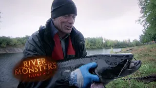 Radioactive MUTANT In Chernobyl | SOM | River Monsters