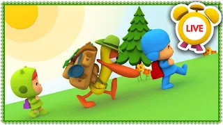 Let's Go Camping | CARTOONS and FUNNY VIDEOS for KIDS in ENGLISH | Pocoyo LIVE