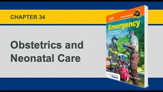 Chapter 34, Obstetrics and Neonatal Care