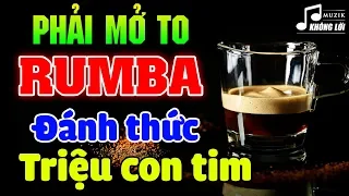 Rumba Buổi Sáng Đánh Thức Triệu Con Tim | Hòa Tấu Rumba Không Lời 2020 | Hòa Tấu Guitar Hải Ngoại