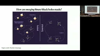 Maya Fishbach - Astrophysical Lessons from LIGO-Virgo-KAGRA's Black Holes (March 29, 2024)