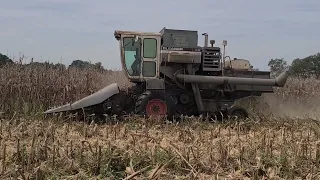 Combining Corn before Hurricane Ian knocks it down