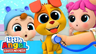 Cepat Sembuh Ya Bingo Kecil 🐶 Kartun Anak | Little Angel Bahasa Indonesia