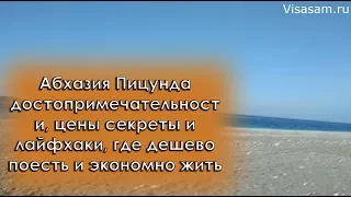 Курорт Пицунда в Абхазии в 2023 году: достопримечательности, цены и лайфхаки, где дешево поесть