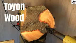 Woodturning- toyon wood bowl with double crotch