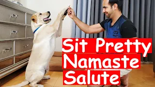 How to Train Sit Pretty/Namaste/Salute Trick to your Puppy Dog | Easy Dog Training at Home