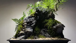 해송 분재 석부작 테라리움 만들기/팔루다리움/Making a terrarium with a sea pine bonsai on stone/paludarium/planterior