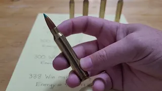 300 Winchester Mag: Dominance for almost 60 years