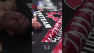 Spinning Elbow Knockout By Enriko Kehl