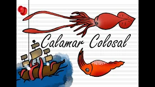 Calamar colosal - Mesonychoteuthis hamiltoni (El Kraken)