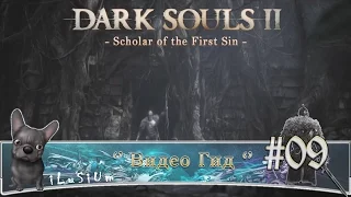 [Долина Жатвы] Видео Гид Dark Souls II (Scholar of the First Sin) - #09