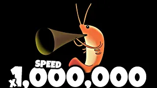 shrimp duet SPEED 1000000X