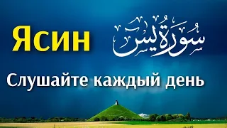 СУРА ЯСИН СЛУШАЙТЕ КАЖДЫЙ ДЕНЬ 15 апреля 2024 г.