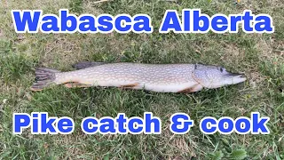 Wabasca Alberta Pike catch & cook