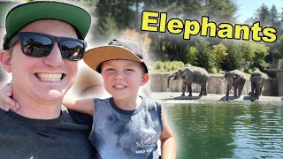 Family Trip to The Portland Zoo