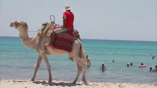 Пляж Хаммамета, Тунис, Средиземное море
