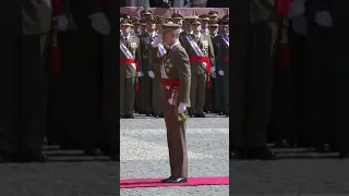 El rey Felipe VI vuelve a jurar bandera en Zaragoza, acompañado por la princesa Leonor #shorts