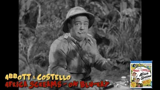 HDD Great Scenes: "A little sugar" | Abbott & Costello in Africa Screams