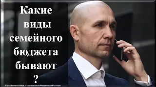 Какие виды семейного бюджета бывают?