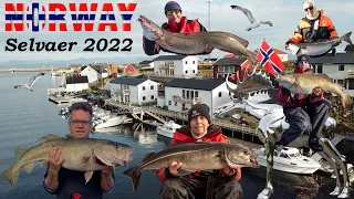 Angeln in Norwegen 2022 - Insel Selvaer bei Traena