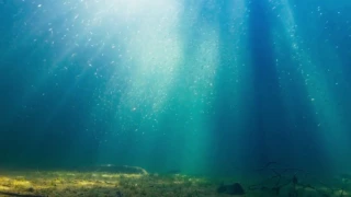 [10 Hours] Sunlit Lake with Fish Underwater - Video & Soundscape [1080HD] SlowTV