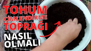 How Seed Germination Soil Should Be II #how to germinate seeds