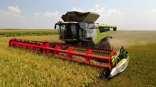 CLAAS Lexion 8700 из кабины #сельскоехозяйство #двигатель #claas