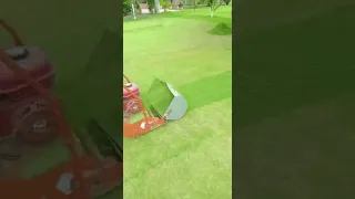 Lawn Mower