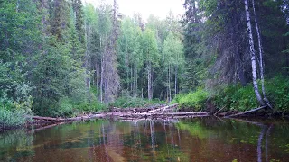 Сплав по таёжным рекам Ухтарка, Тобысь, Ухта. Часть 1 - Ухтарка