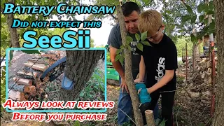 Mini Seesii Cordless Chainsaw Review, Good or Bad?  Chainsaw unboxing, assembly and demonstration.