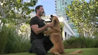 Man reunited with lost dog after two years